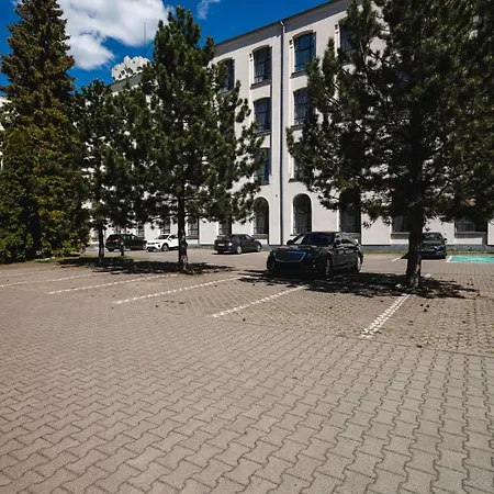 Focus Lodz