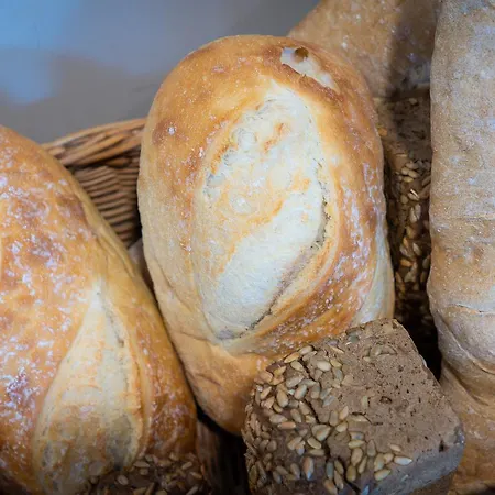 酒店 罗兹福克斯酒店