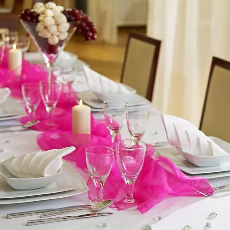 酒店 罗兹福克斯酒店