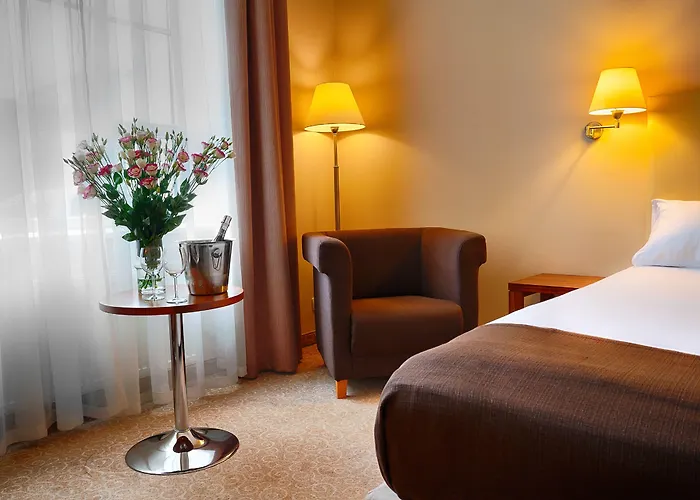 فوكوس لودز 3* وودج