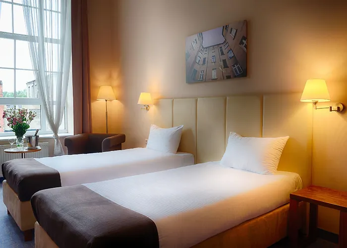 فوكوس لودز 3*