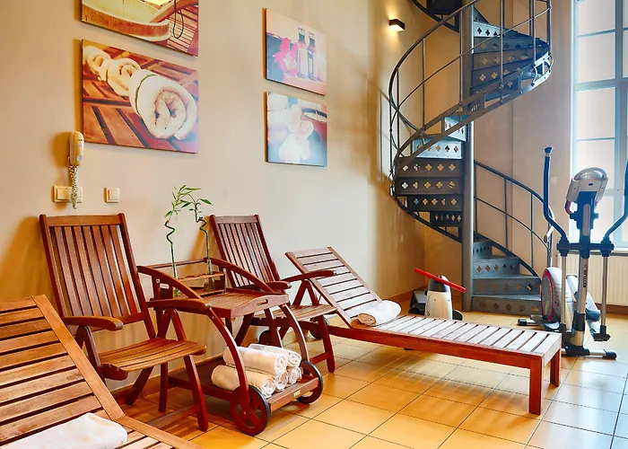 فوكوس لودز وودج