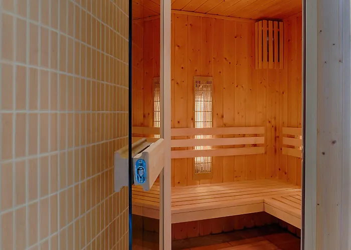 فوكوس لودز وودج