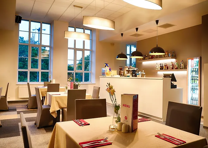 فوكوس لودز 3* وودج