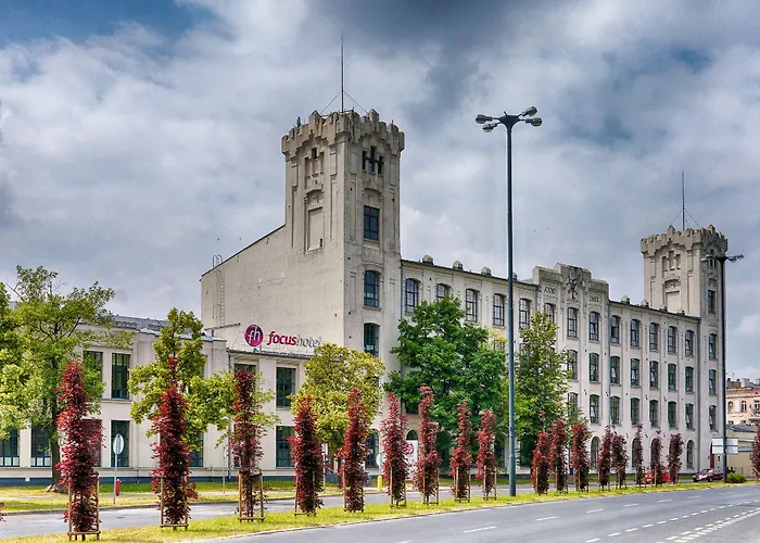 فوكوس لودز وودج