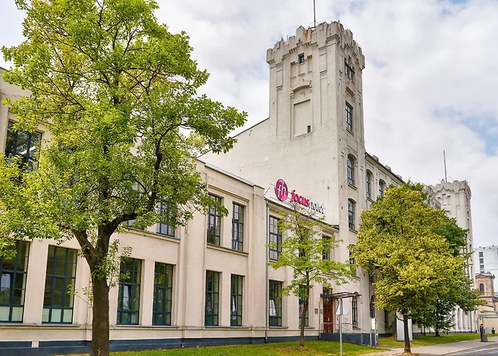 فوكوس لودز 3* وودج