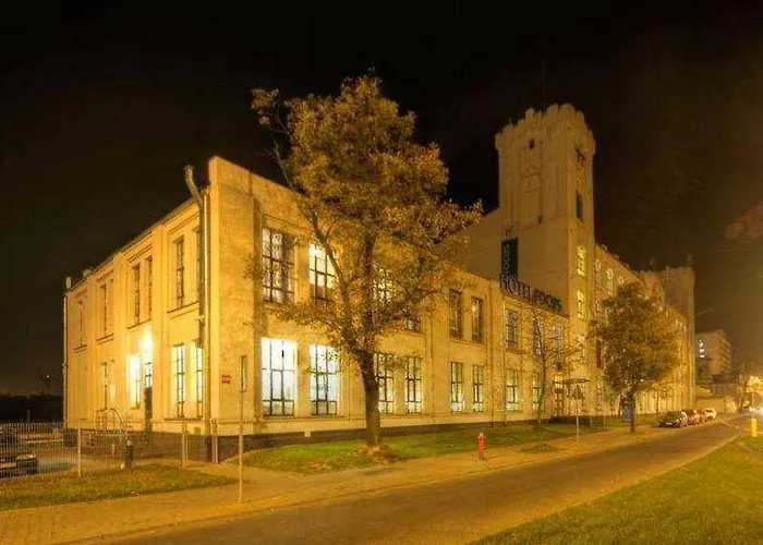 فوكوس لودز 3* وودج