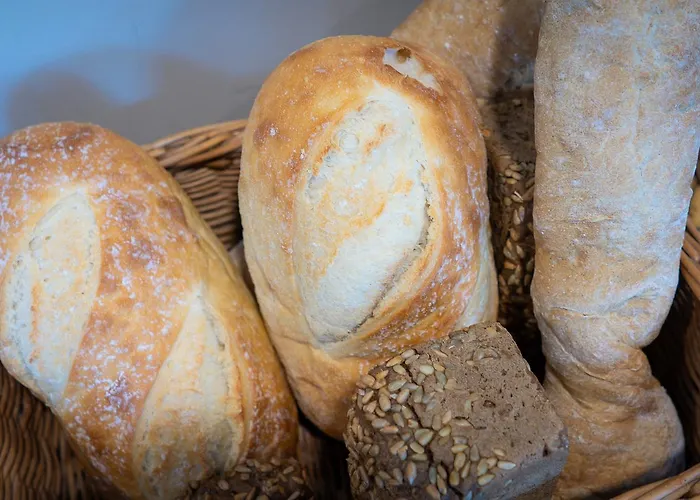 فندق فوكوس لودز