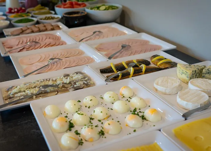 فوكوس لودز فندق وودج