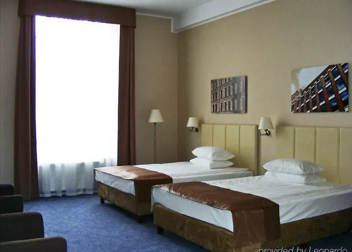 فوكوس لودز وودج